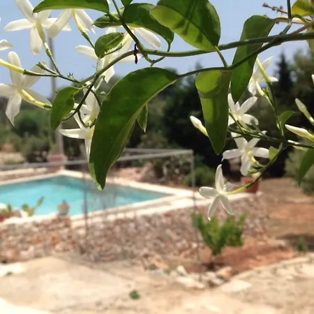 Casa Montani Βίλα